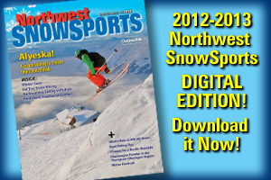 2012NWSS_DE_webgraphic