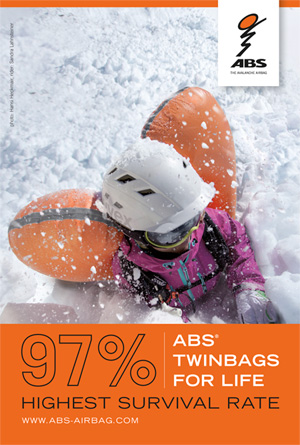 ABS Airbag display