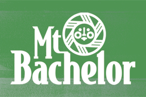 Buzz_0413b_bachelorlogo