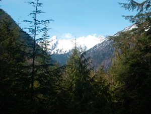 north cascades highway image