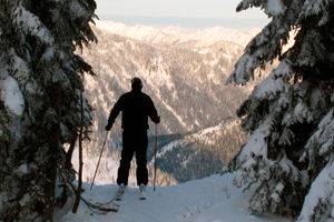 Buzz_1213stevenspass_wilderness