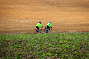 Century_0913HarvestCentury1