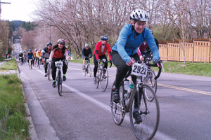 Chilly Hilly cyclists on Bainbridge Island, WA