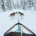 Esc_0314DogSledding