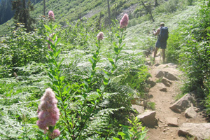 Hiker-on-Denny-Creek-Trail