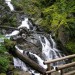 Hiking_RodneyFalls