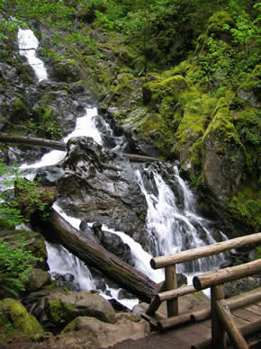 Hiking_RodneyFalls