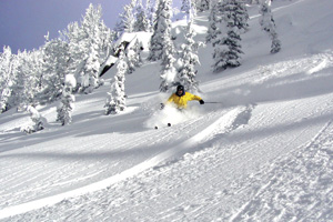 NWskiareasID_1113brundage2