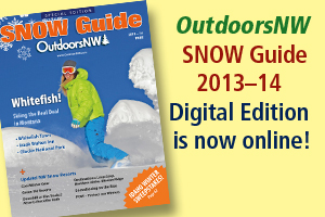 ONW_SNOWGuide13DE_featured