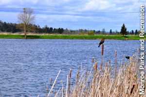 Trimonroe Lake Tye