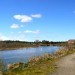 Deschutes River Trail in Bend, Oregon