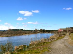 Deschutes River Trail in Bend, Oregon